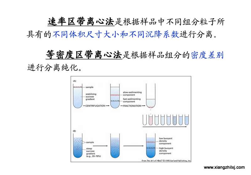 離心機知識圖解大全